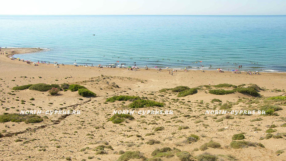 Черепаший пляж Алагади на Северном Кипре